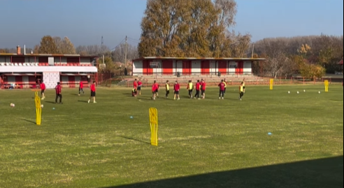meccs